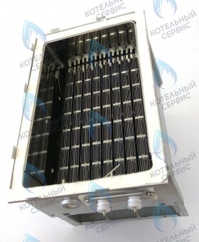 Камера сгорания (в сборе с горелкой и электродами) 167 GMF/EMF/RW RINNAI