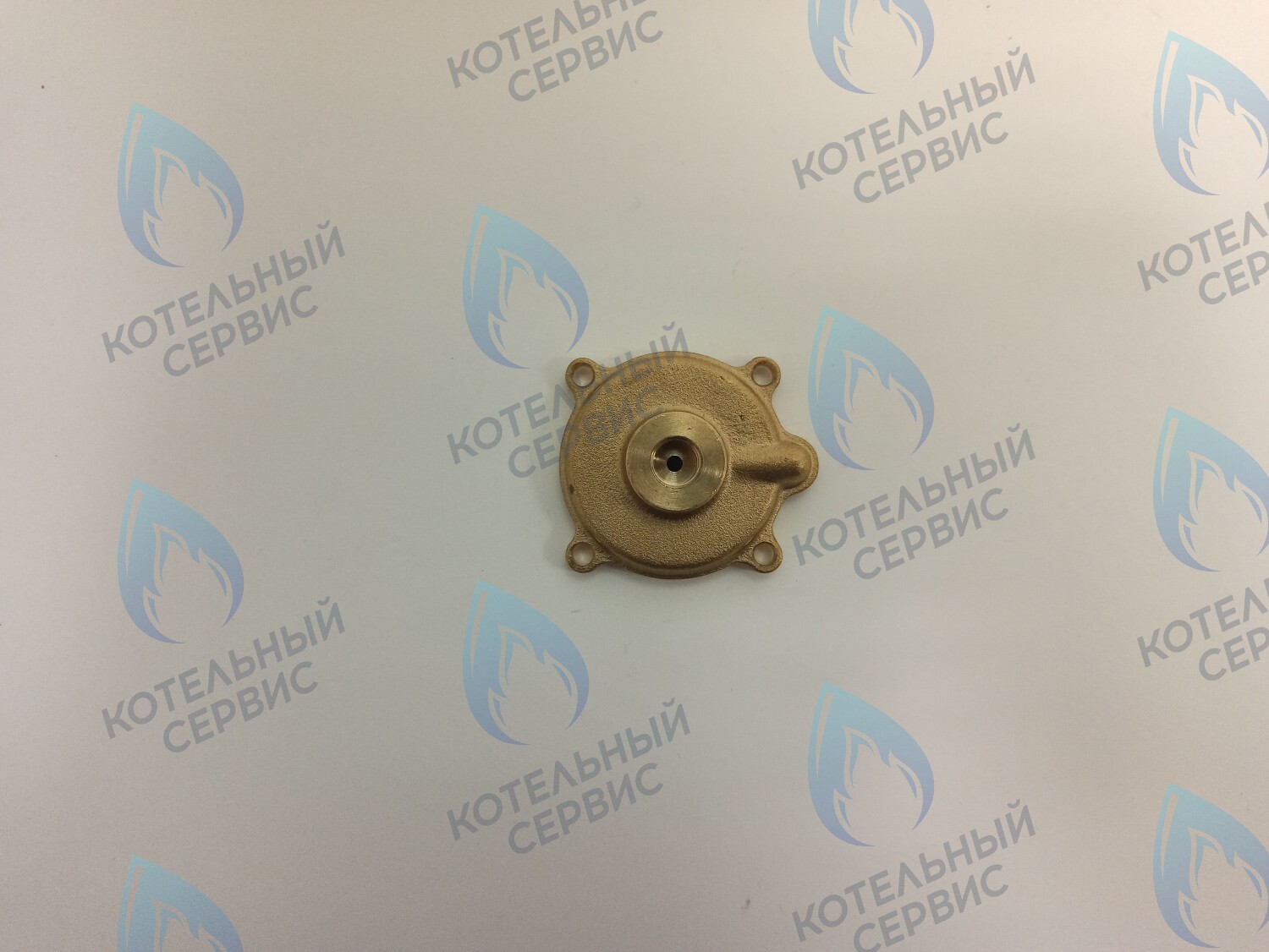 50101027 Крышка датчика протока (50101027) ELECTROLUX в Оренбурге	