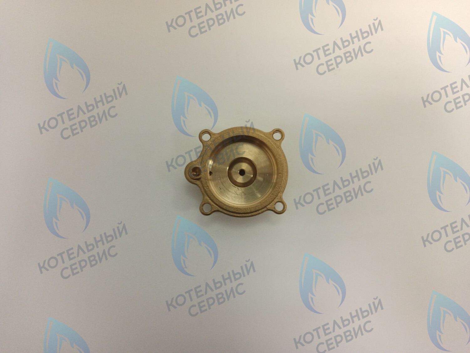 50101027 Крышка датчика протока (50101027) ELECTROLUX в Оренбурге	