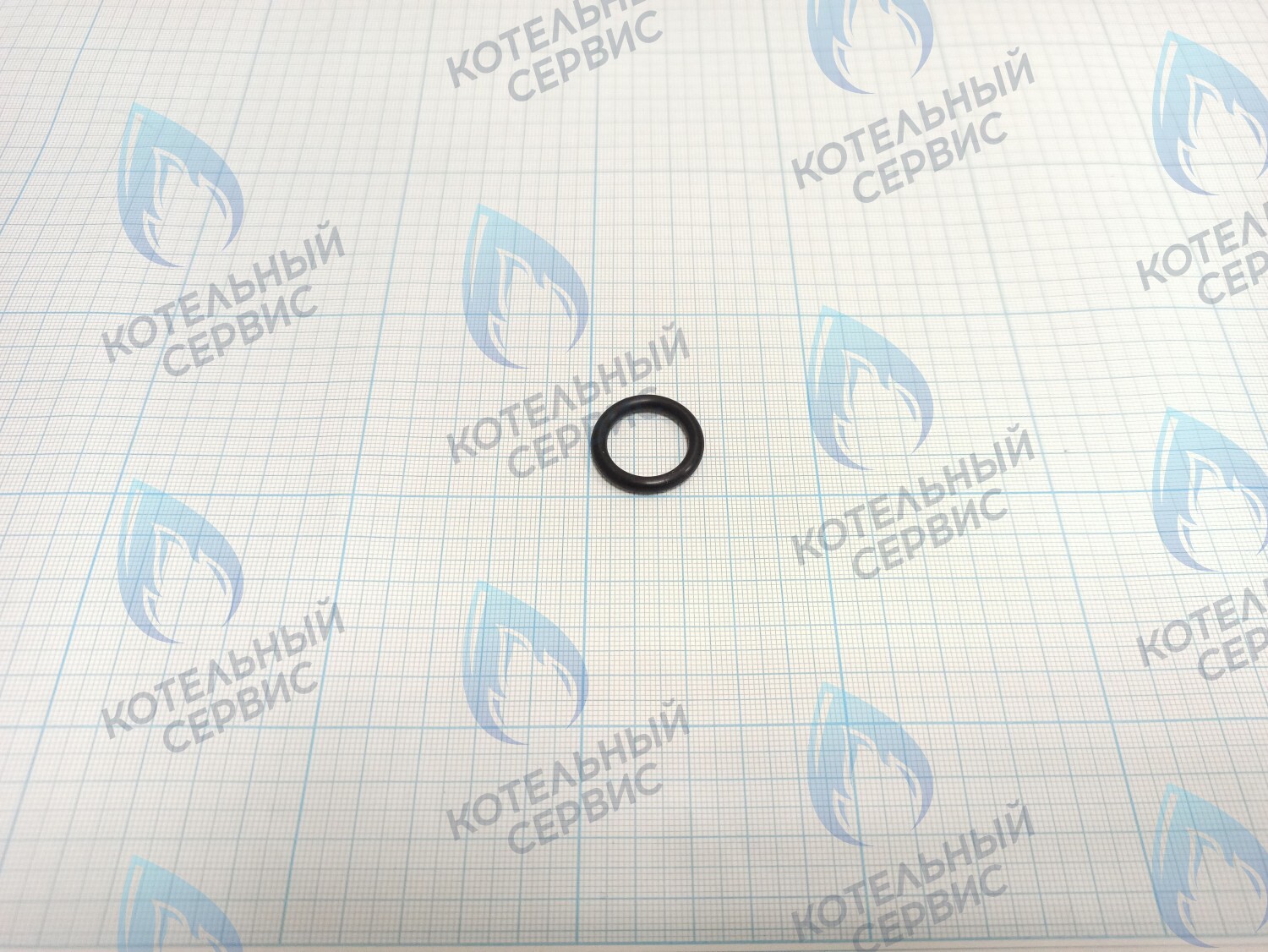 TY02020049 Прокладка O-Ring 25x18x3.55 (TY02020049) ROYAL THERMO в Оренбурге	