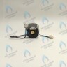 PH-W21CW50-DA84-4PIN Двигатель насоса DUCA APW 15-5.2A (2 скорости) аналог Wilo Ariston (65104319, 60000591) в Оренбурге	