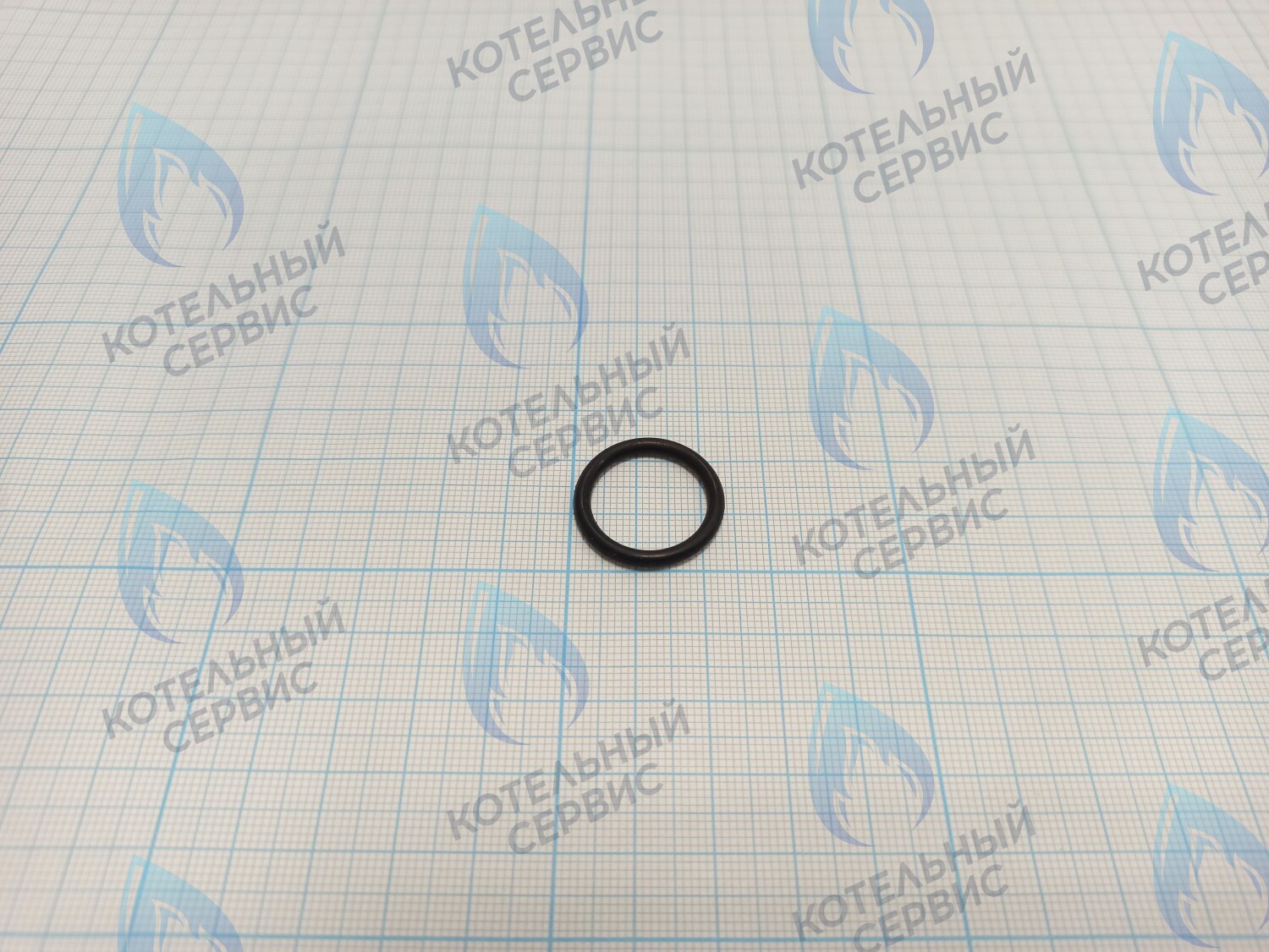 FC005B Кольцо уплотнительное (теплообменник первичный) FEDERICA BUGATTI Light, Varme 12-24кВт в Оренбурге	