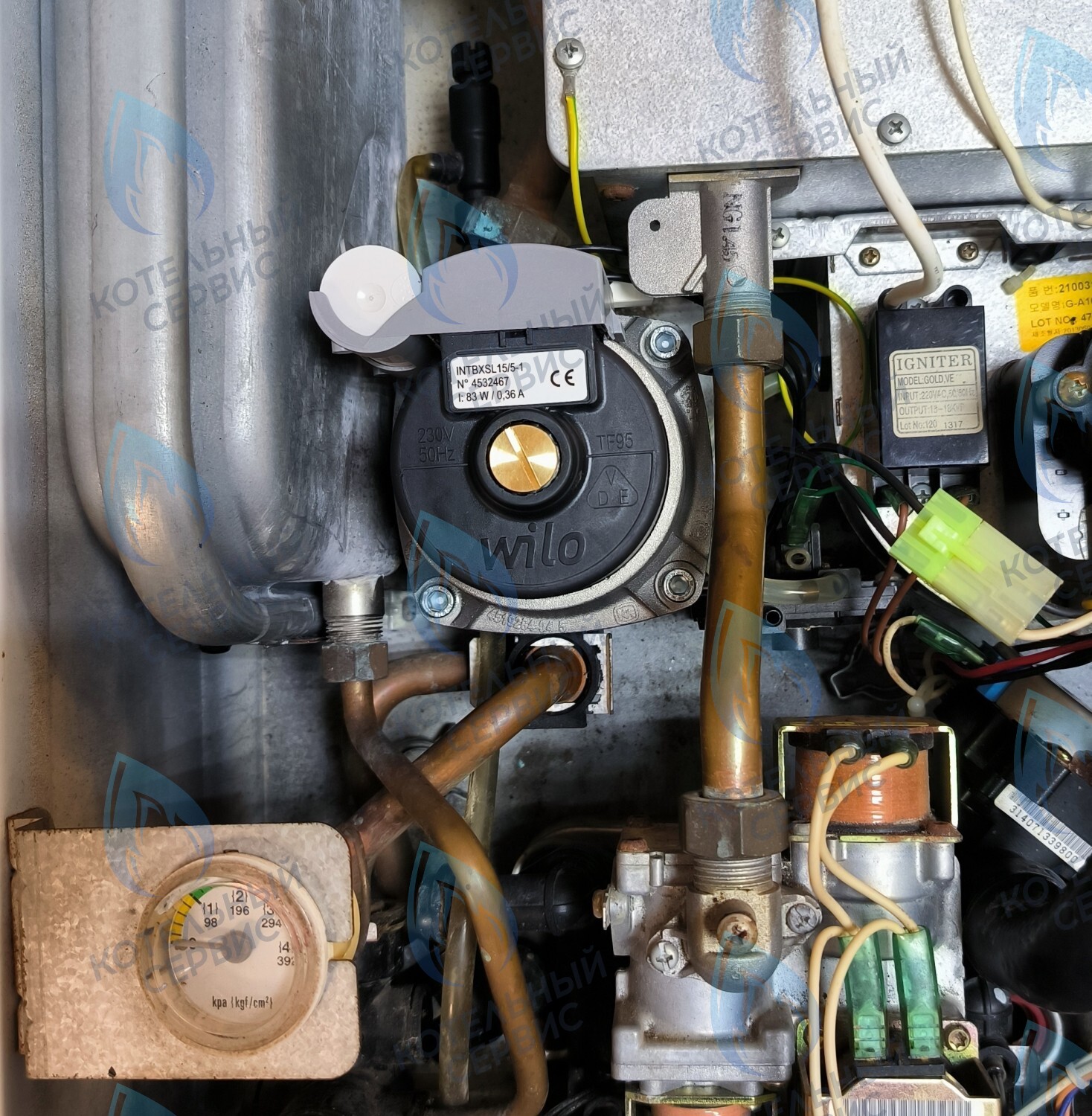 PMDS1AW50-WA82DS-Комп Насос циркуляционный 5м для MASTER GAS SEOUL 11-24 (2050118, 2050130), DAESUNG A16-24 (52050118, 52050130), ARDERIA 2.13-20, CELTIC-DS 3.13-3.20 (2050118, 2050130) в Оренбурге	