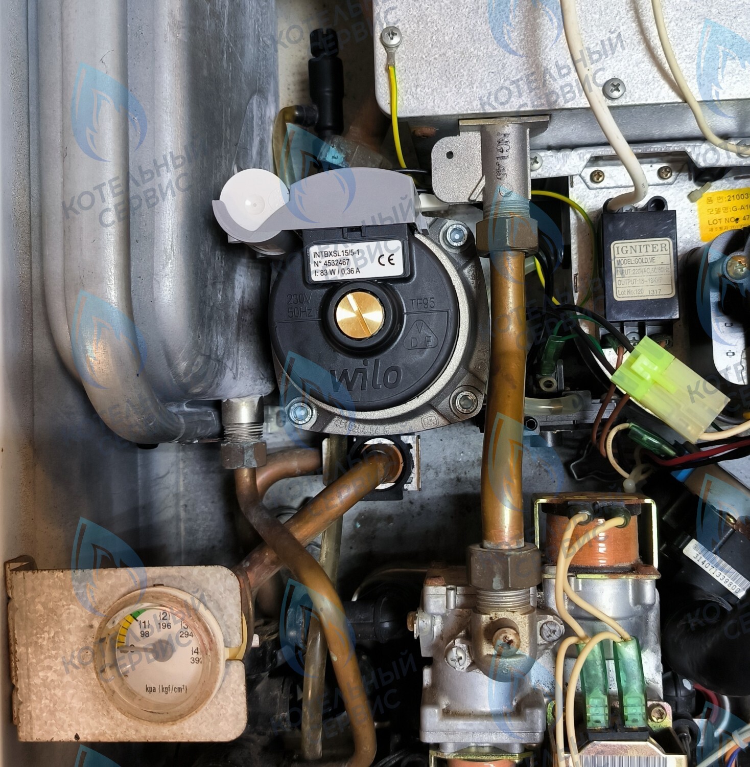 PMDS1AW50-WA82DS-Комп Насос циркуляционный 5м для MASTER GAS SEOUL 11-24 (2050118, 2050130), DAESUNG A16-24 (52050118, 52050130), ARDERIA 2.13-20, CELTIC-DS 3.13-3.20 (2050118, 2050130) в Оренбурге	