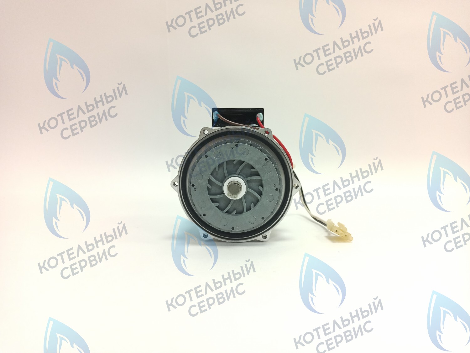 PH-S46CW73-CS77 Двигатель насоса (без улитки, с прокладкой) 77w GRUNDFOS CS-0108DSB ARDERIA 2.13-20, CELTIC-DS 3.13-3.20, MASTER GAS SEOUL 11-21, DAESUNG A16-24 в Оренбурге	