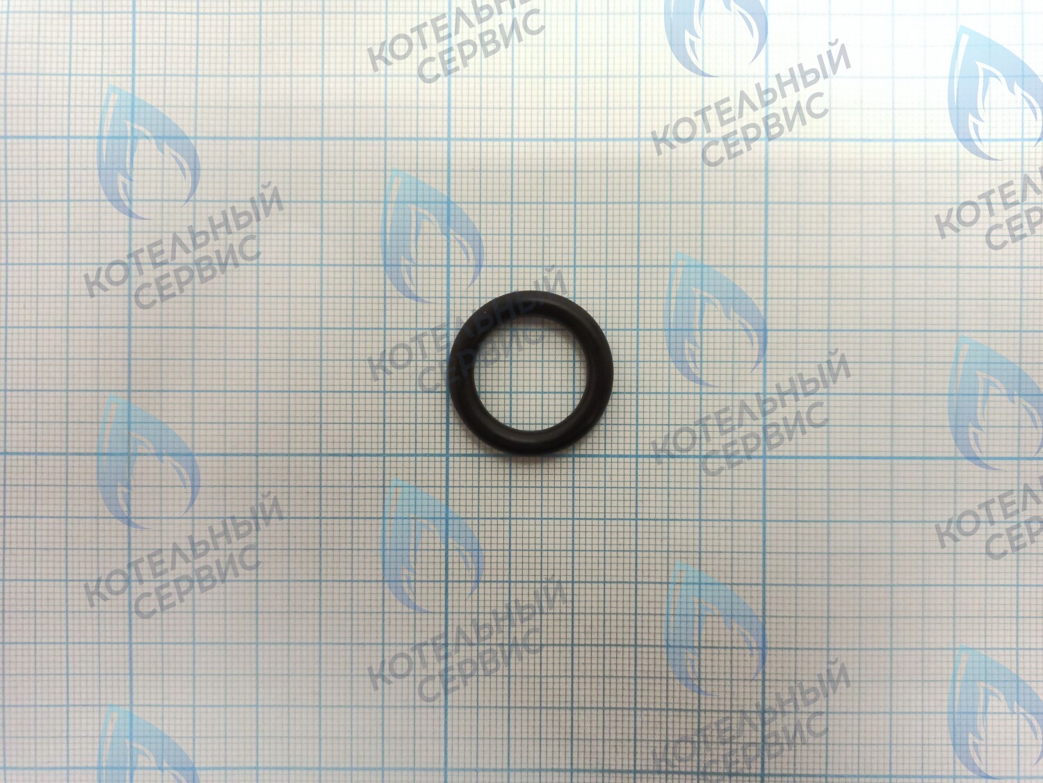 ZR101 Уплотнительное кольцо (прокладка) соединения гидрогруппы и улитки циркуляционного насоса в Оренбурге	