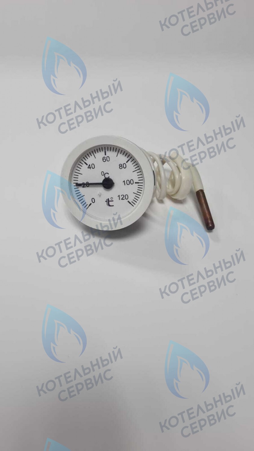 ST002-02 Термометр капиллярный круглый белое кольцо d 51,5 мм, длина капилляра 550 мм, 0-120С в Оренбурге	